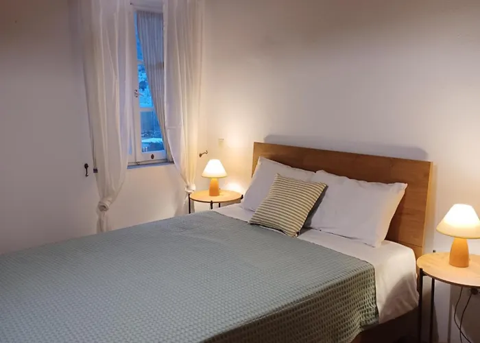 Alkyonis * 卡马莱